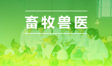 动物医学（090401 ）