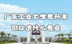 浙江工业大学专升本可以选什么专业
