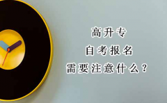 高升专自考报名需要注意什么？