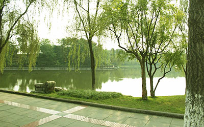 杭州的学院风景