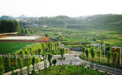 学院绿色风景